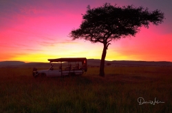 Don-Wales-Lifestyle-10