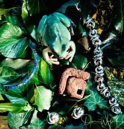 Don-Wales-Still-Life-1