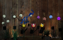 Don-Wales-Still-Life-12